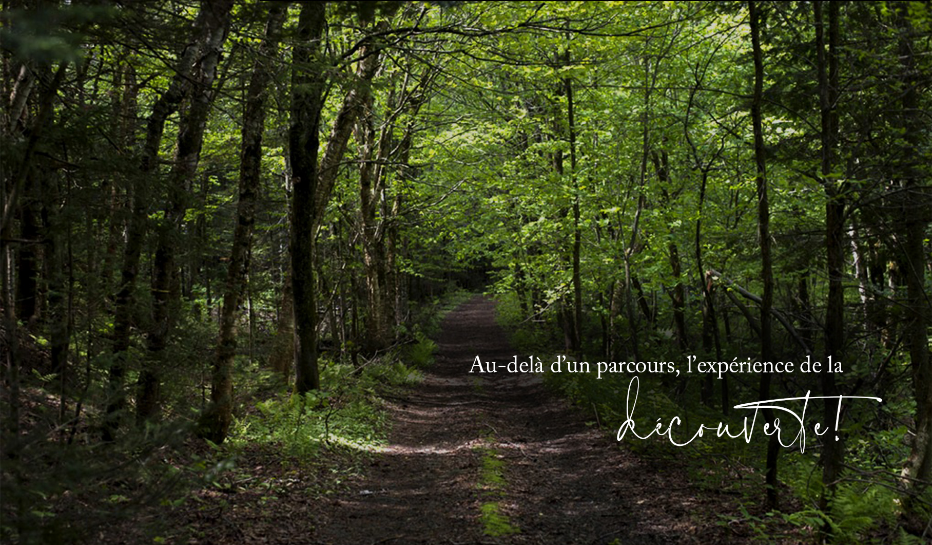 chemins-de-la-decouverte