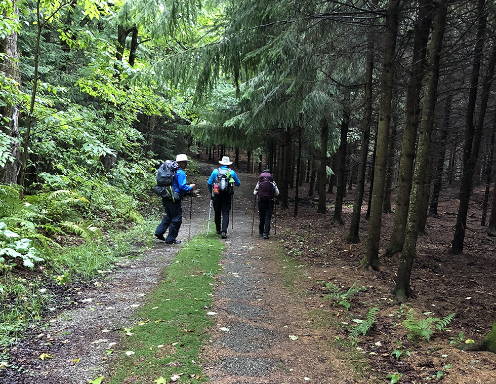 les-parcours-chemins-de-la-decouverte