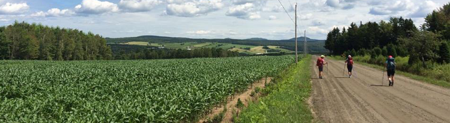 marche-chemins-de-la-decouverte